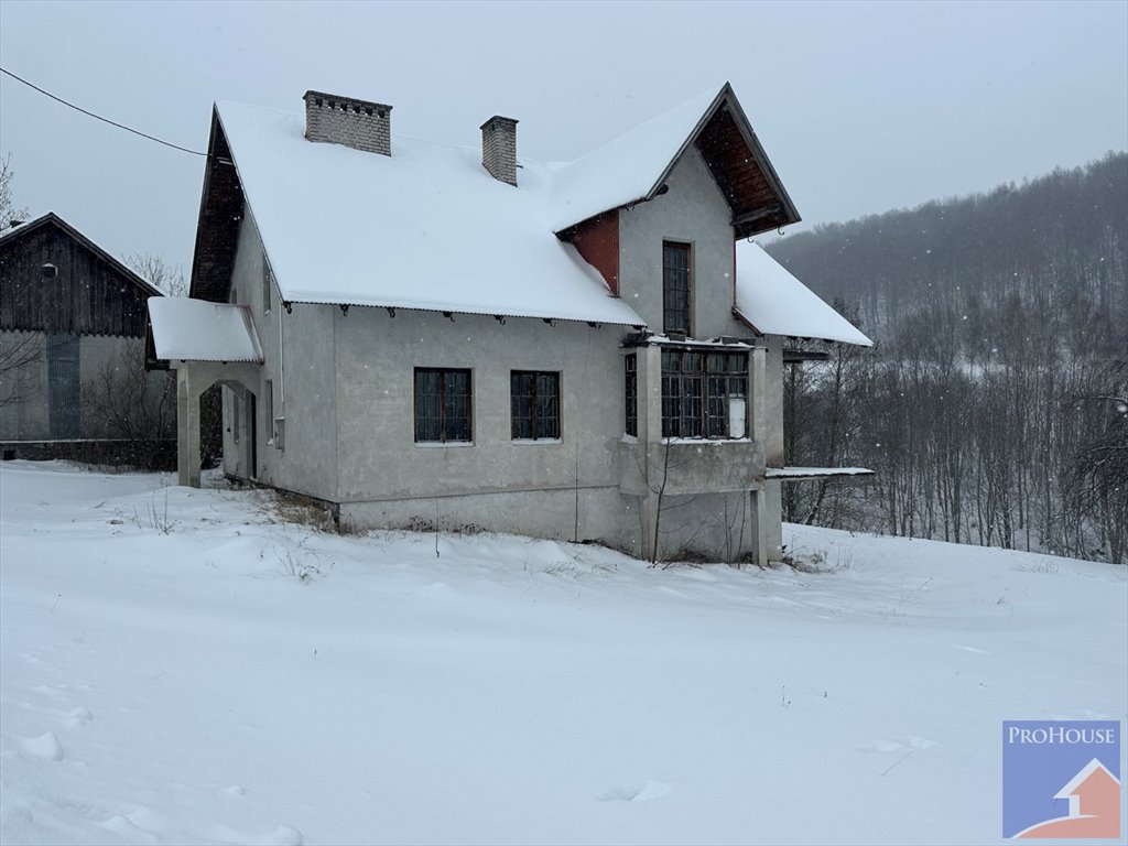 Urokliwa posiadłość 1,56 ha z dwoma domami i lasem Kisielówka  220m2 Foto 1