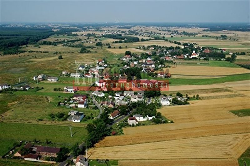 Działka inna na sprzedaż Kotórz Wielki 8 000m2 Foto 1 Działka inna na sprzedaż Kotórz Wielki 8 000m2 Foto 1