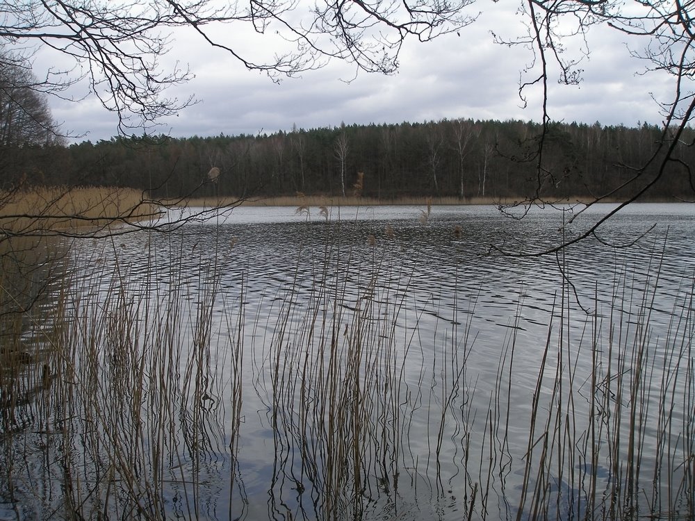 Działka rekreacyjna nad jeziorem Chłopowo, 1165 m2 Chłopowo  1 165m2 Foto 1