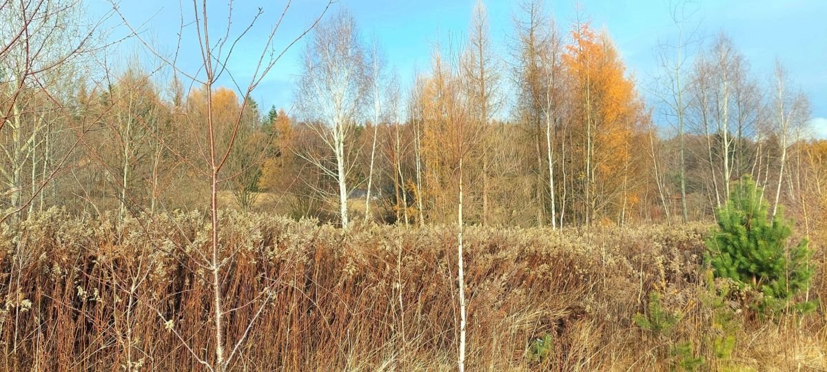 Działka budowlana na sprzedaż Wojcieszyce  1 482m2 Foto 8