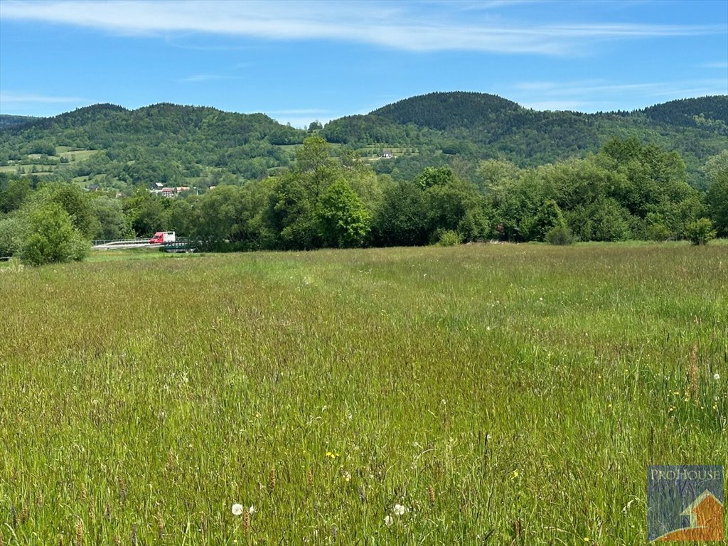 Działka budowlana na sprzedaż Podłopień  4 058m2 Foto 5