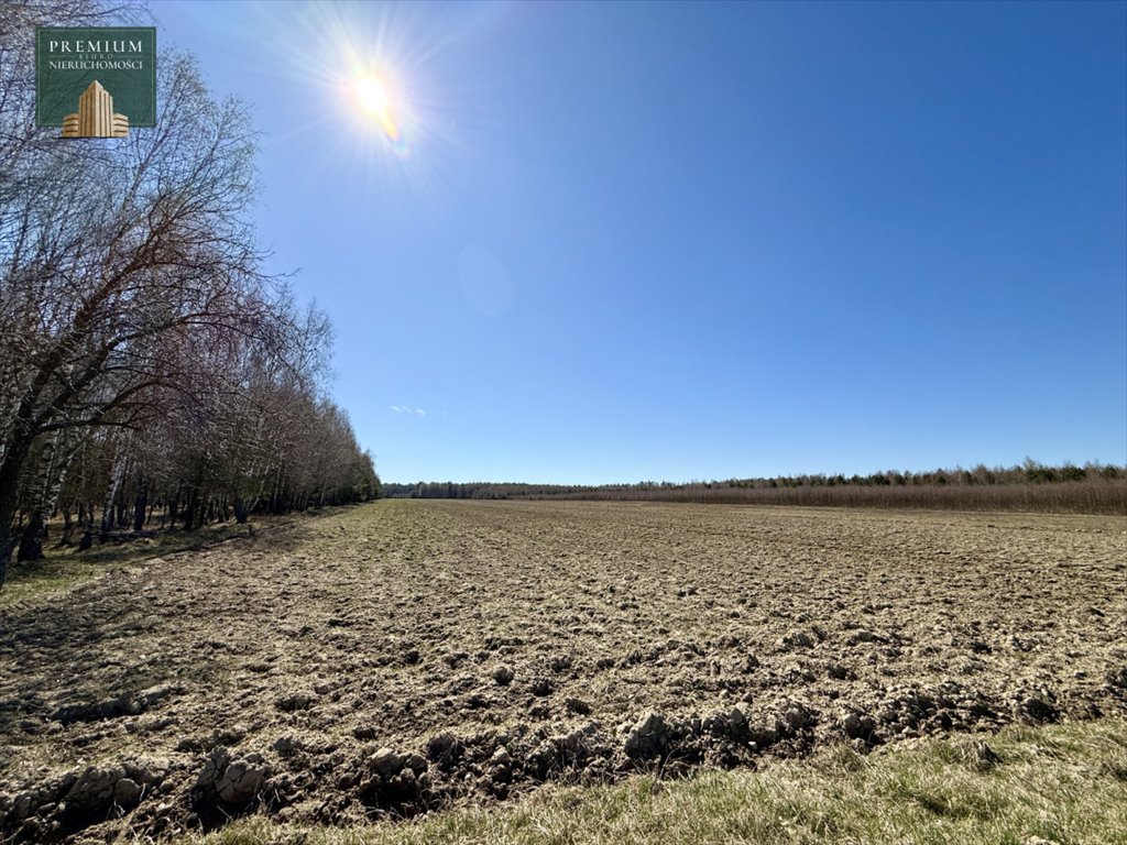 Na sprzedaż duża działka rolna 3,27 ha w Werpolu - spokój i natura Werpol  22 200m2 Foto 1