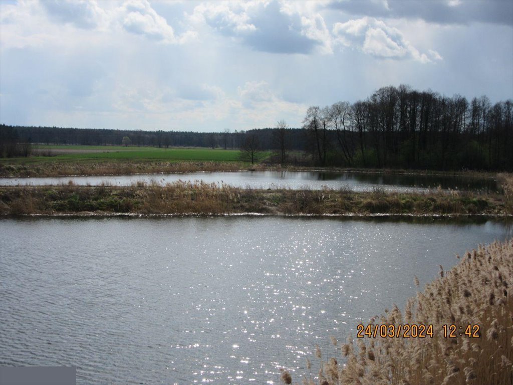 Działka inwestycyjna na sprzedaż Wziąchowo Małe  130 892m2 Foto 16