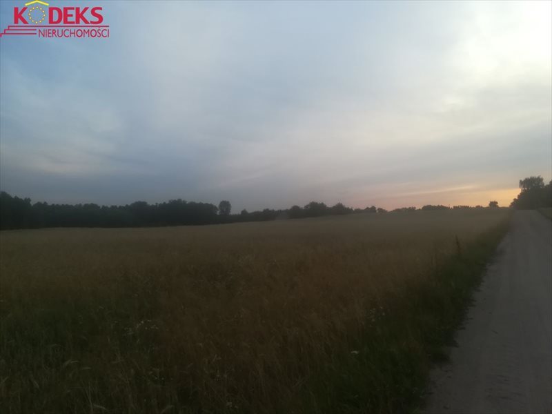 Działka rolna na sprzedaż Jackowo Dworskie 40 000m2 Foto 1 Działka rolna na sprzedaż Jackowo Dworskie 40 000m2 Foto 1