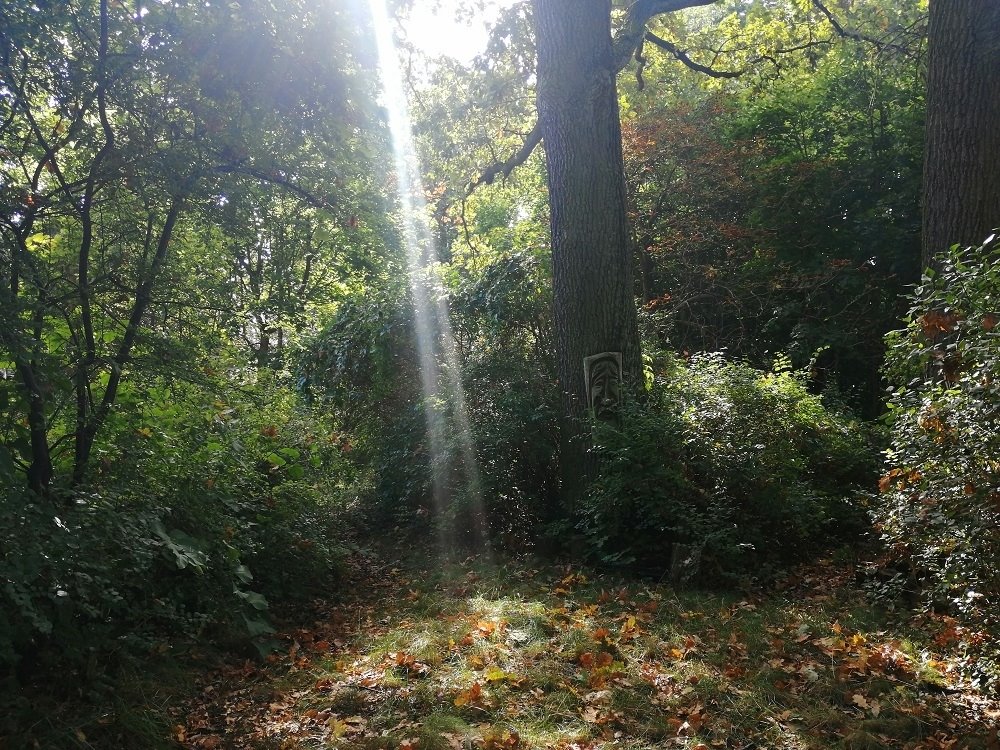 Działka budowlana na sprzedaż Warszawa, Wesoła, Sikorskiego Władysława  5 301m2 Foto 1