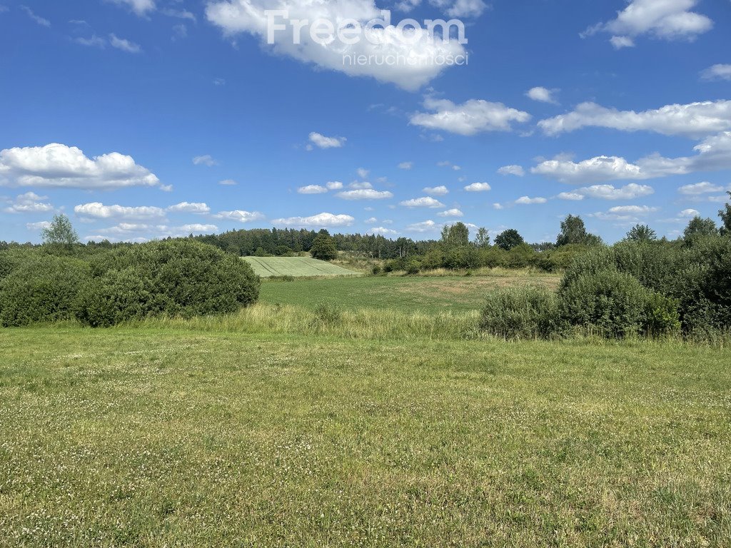 Działka budowlana na sprzedaż Mątki  4 200m2 Foto 5