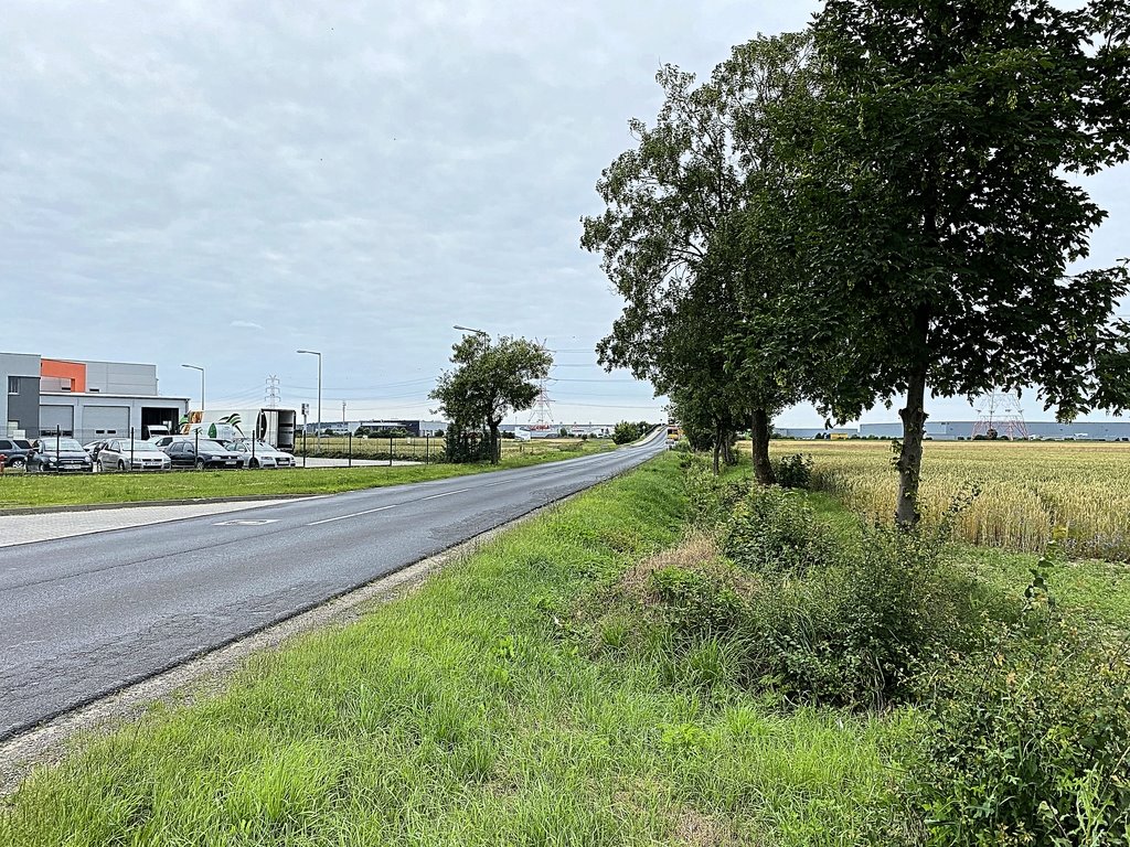 Działka inwestycyjna na sprzedaż Plewiska  8 535m2 Foto 2