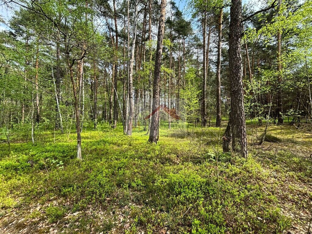 Działka budowlana na sprzedaż Wiązowna, Jagodowa  4 958m2 Foto 5