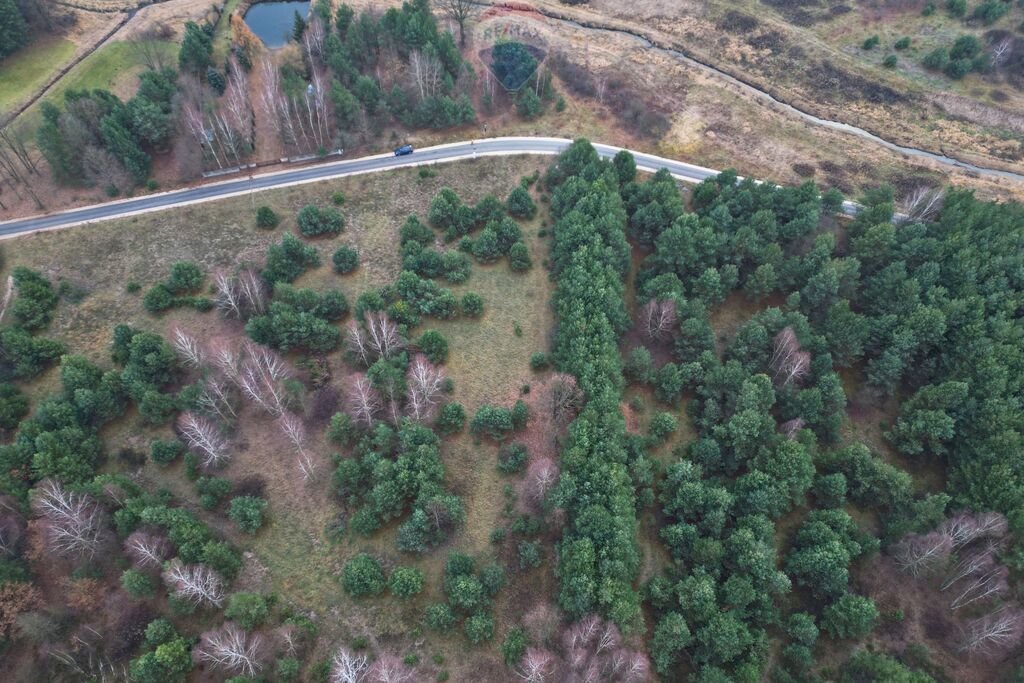 Działka budowlana na sprzedaż Stara Huta  2 950m2 Foto 7