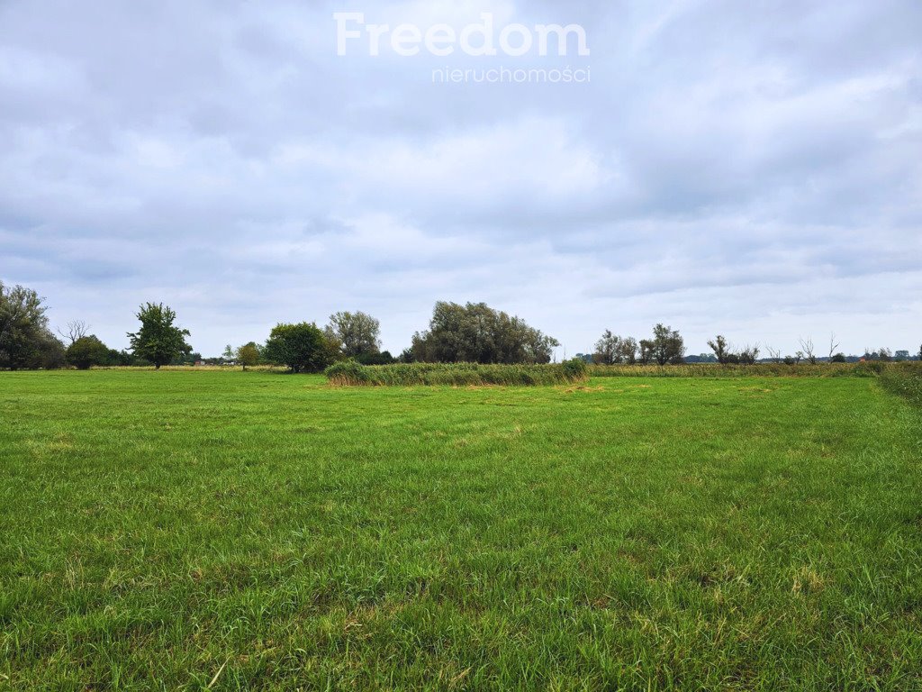 Działka inna na sprzedaż Zastań  14 900m2 Foto 5