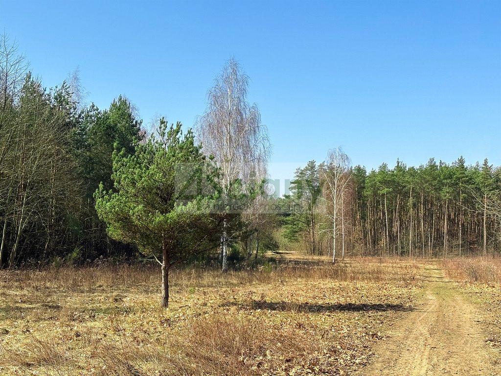 Działka 11 037 m² pod zabudowę rekreacyjną i jednorodzinną Ojrzanów  11 037m2 Foto 1