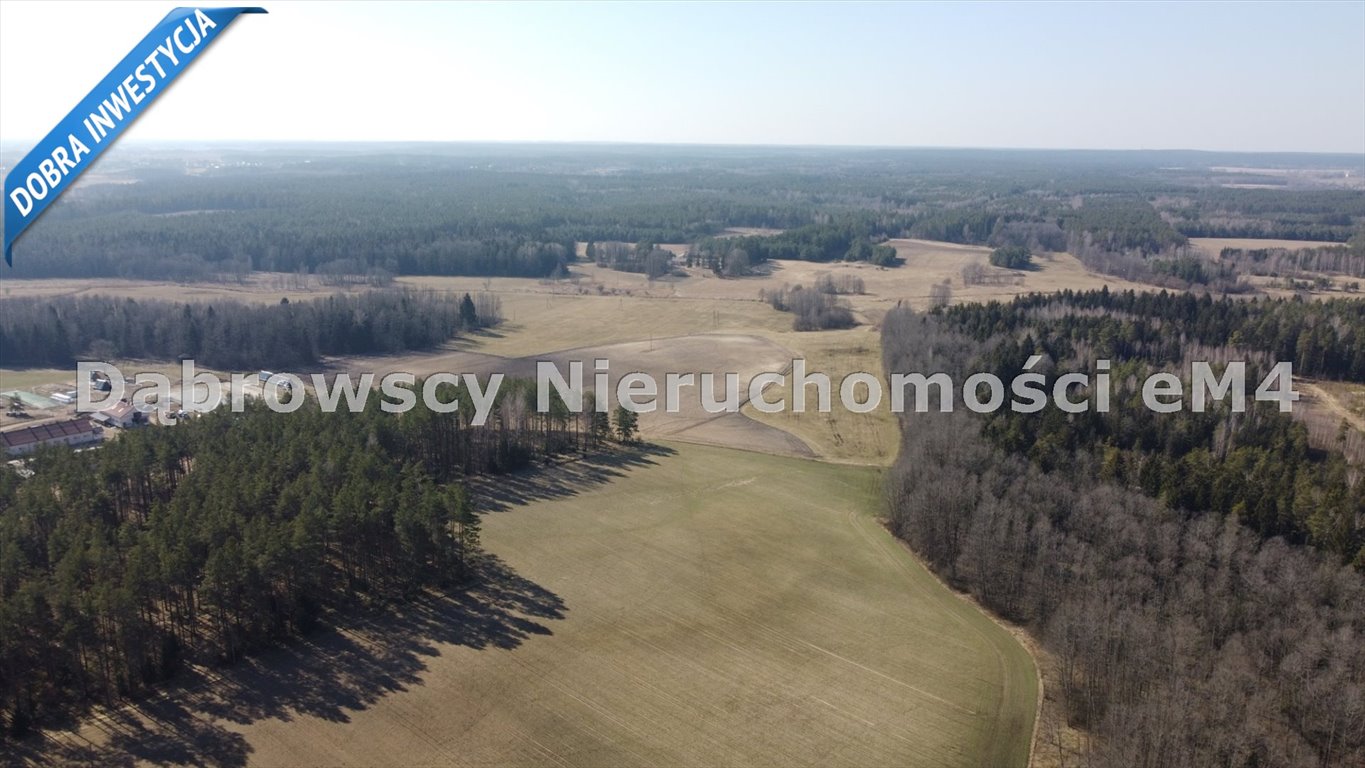 Działka rolna na sprzedaż Gródek  3 368m2 Foto 12