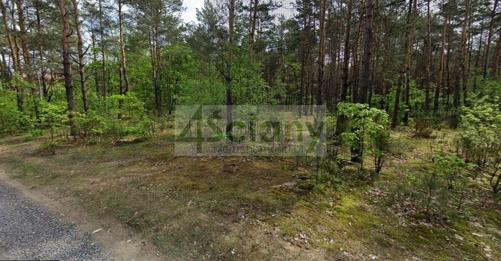 Działka 3000 m² z lasem sosnowym i mediami, Izabelin Truskaw  3 000m2 Foto 1