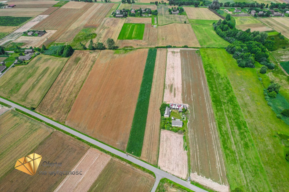 Działka budowlana na sprzedaż Fajsławice  3 900m2 Foto 2