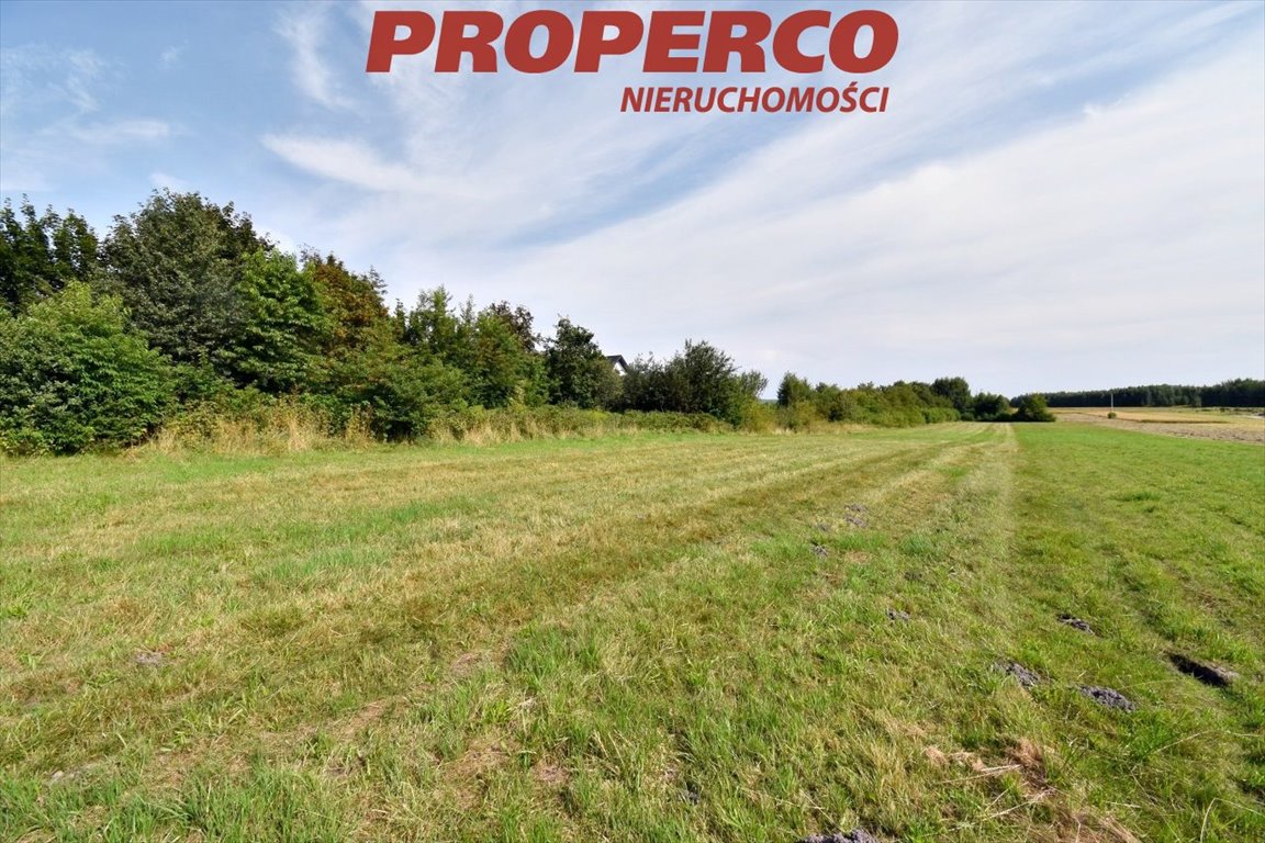 Na sprzedaż działka 9051 m² z mediami i spokojną okolicą Radlin  9 051m2 Foto 1