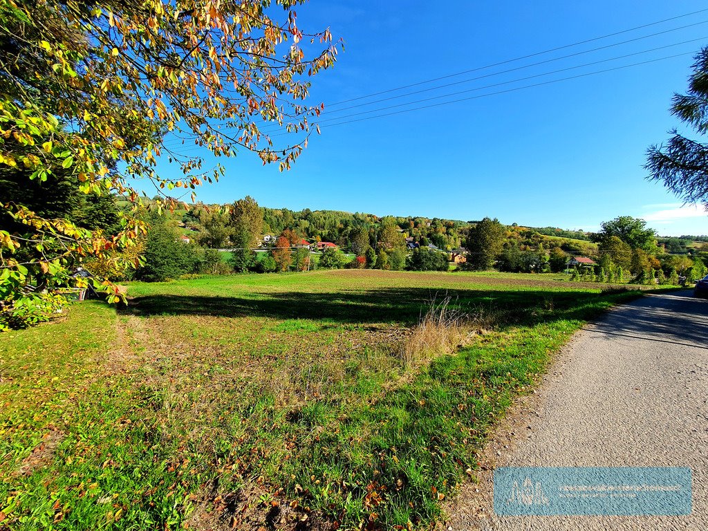 Działka budowlana na sprzedaż Chmielnik  4 800m2 Foto 1