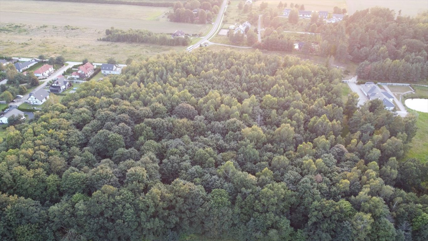 Działka leśna z prawem budowy na sprzedaż Głobino, Przy Lesie  6 200m2 Foto 5