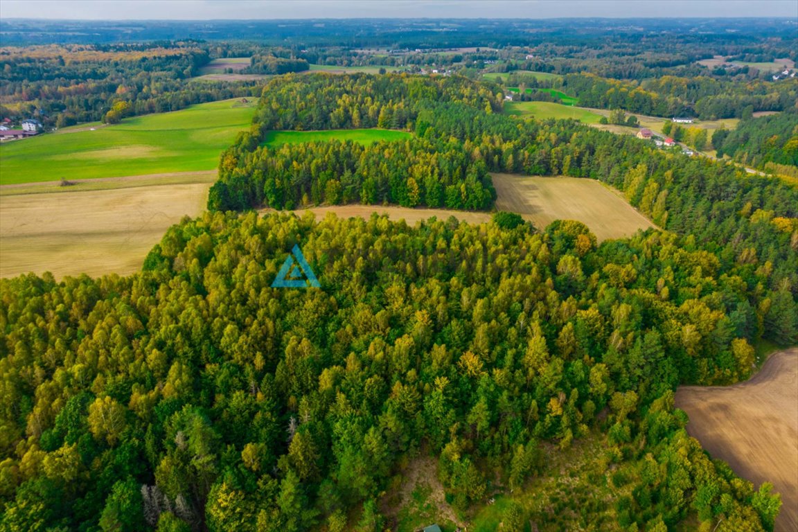 Działka rolna na sprzedaż Gołubie  102 067m2 Foto 7