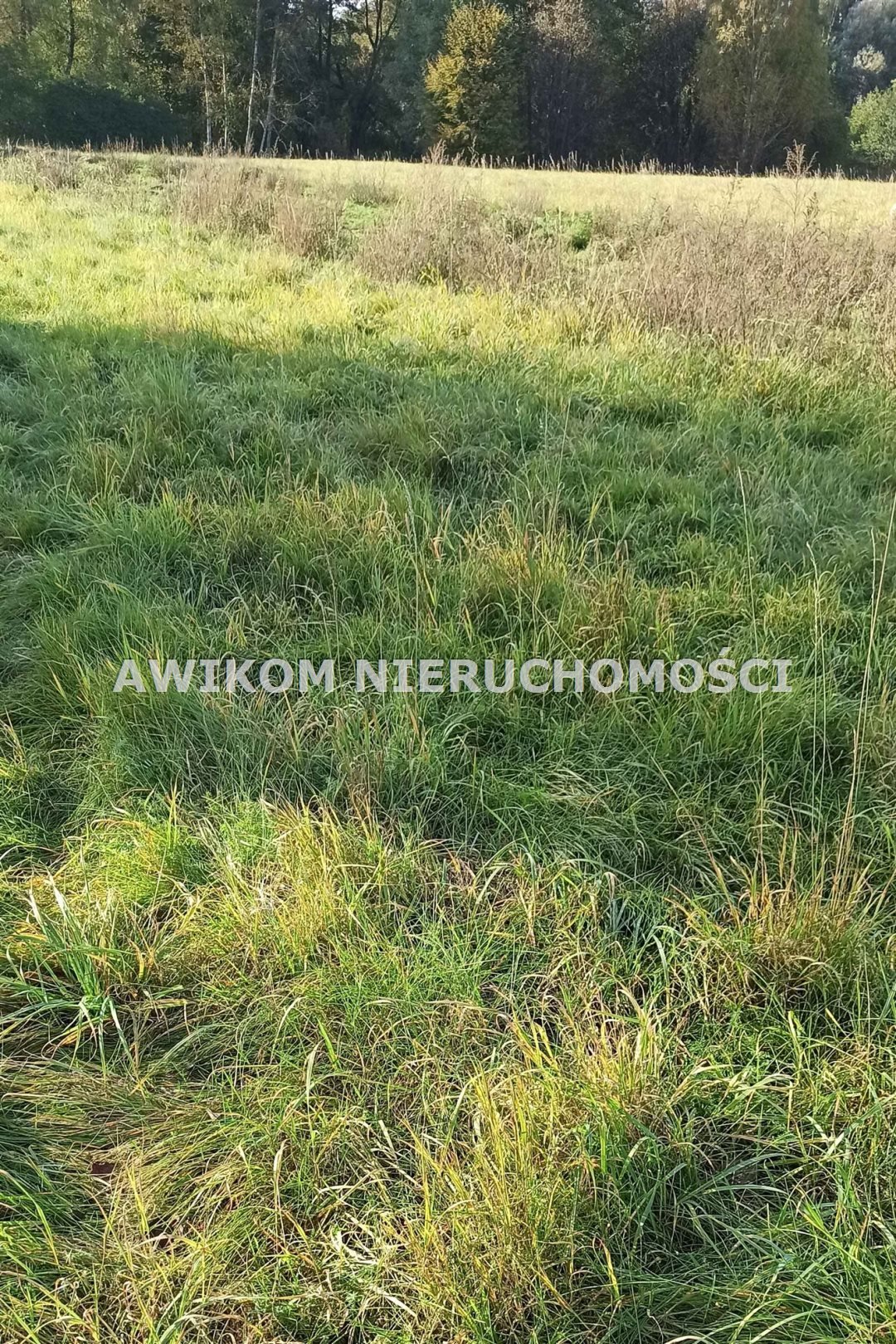 Działka budowlana na sprzedaż Jaktorów, Budy-Grzybek  1 092m2 Foto 1