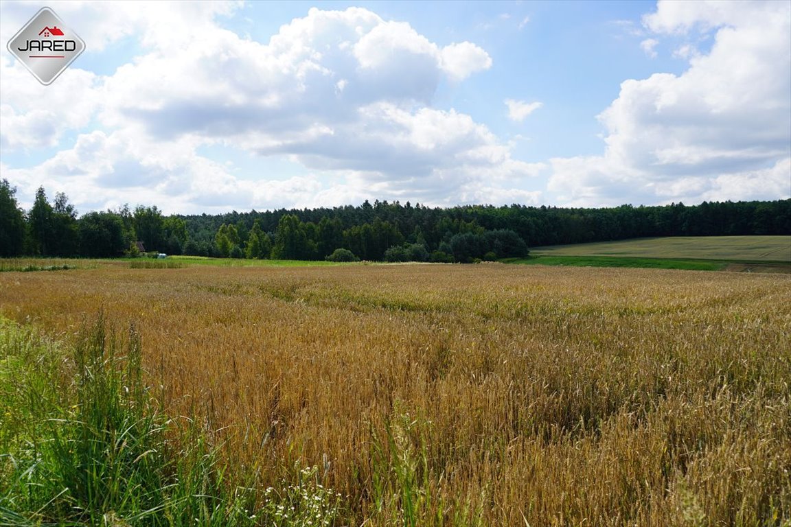 Działka budowlana na sprzedaż Osmolice Pierwsze  1 700m2 Foto 4