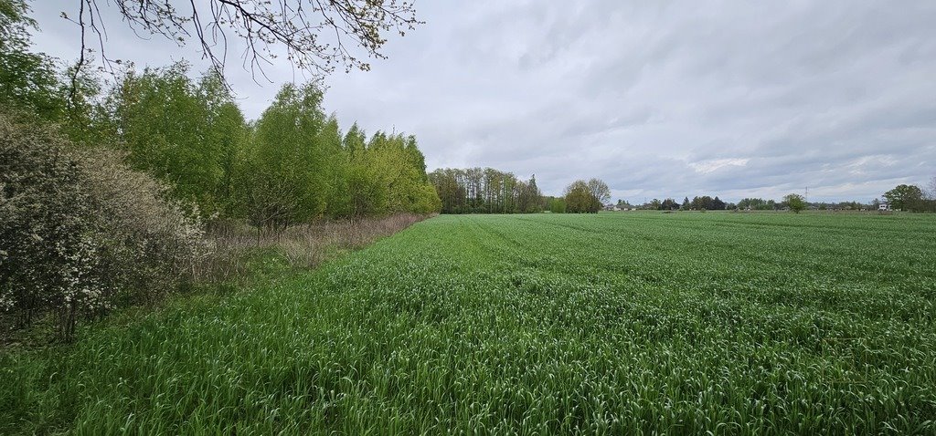 Działka budowlana na sprzedaż Ludwinowo Zegrzyńskie  22 500m2 Foto 1