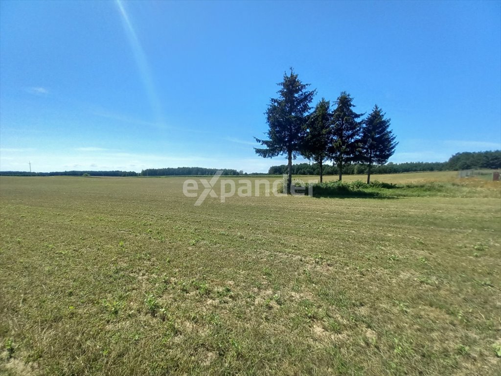 Działka rolna na sprzedaż Rojewo  12 400m2 Foto 5