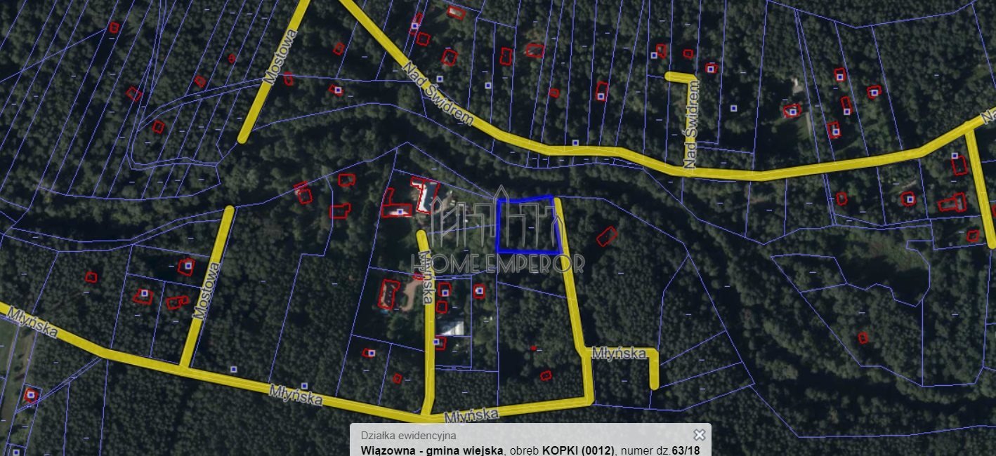 Działka leśna na sprzedaż Kopki, Młyńska  2 433m2 Foto 3