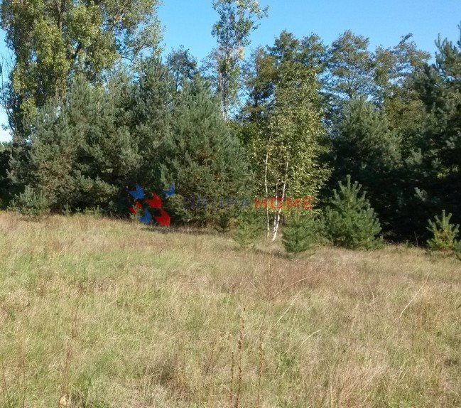 Działka 2000 m² pod zabudowę jednorodzinną w Strzeniówce Strzeniówka  2 000m2 Foto 1