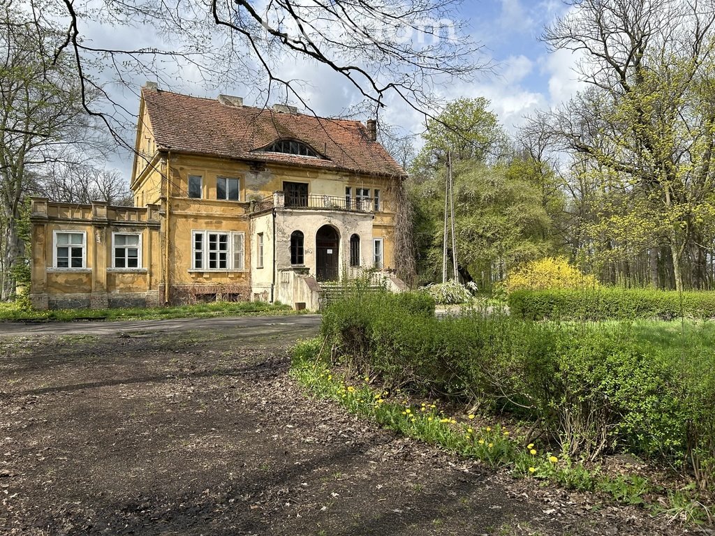 Dom na sprzedaż Drzązgowo  500m2 Foto 6