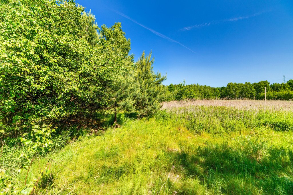 Działka budowlana na sprzedaż Majdan  3 000m2 Foto 20