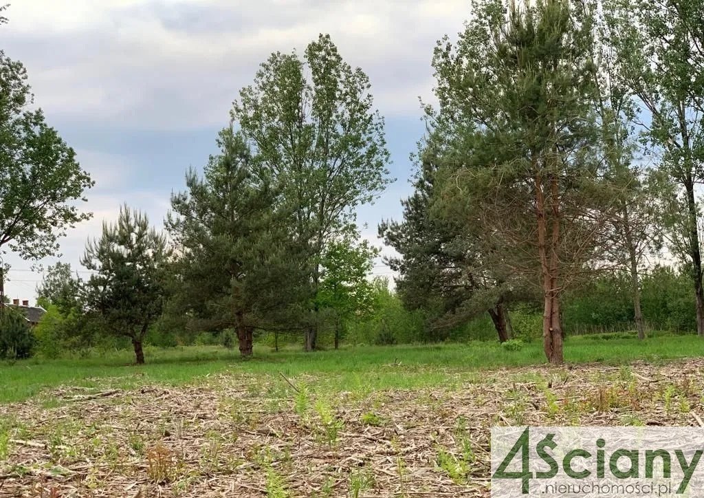 Działka budowlana na sprzedaż Ojrzanów  4 200m2 Foto 8