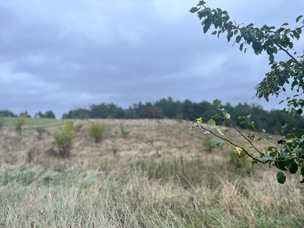 Działka budowlana na sprzedaż Szabda, Szabda, Na Zamek  824m2 Foto 8