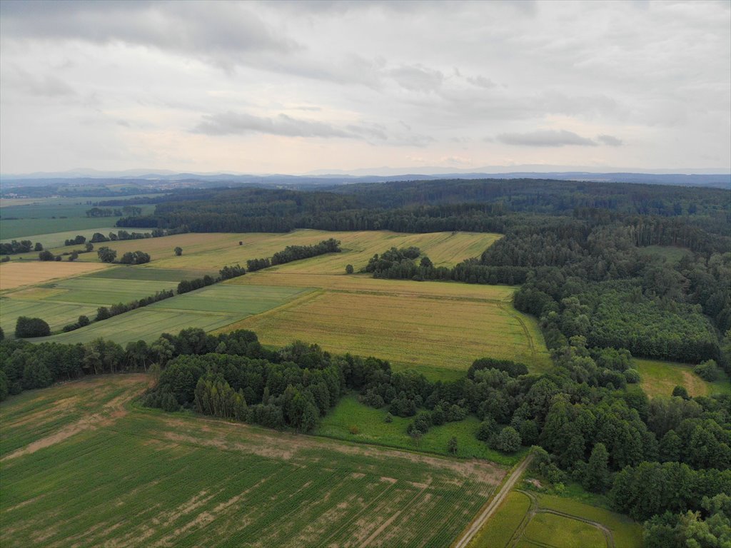 Działka rolna na sprzedaż Kotliska  19 600m2 Foto 13