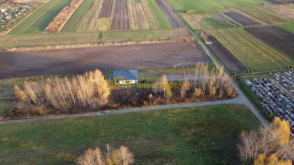 Działka budowlana na sprzedaż Trzeboś  3 123m2 Foto 6