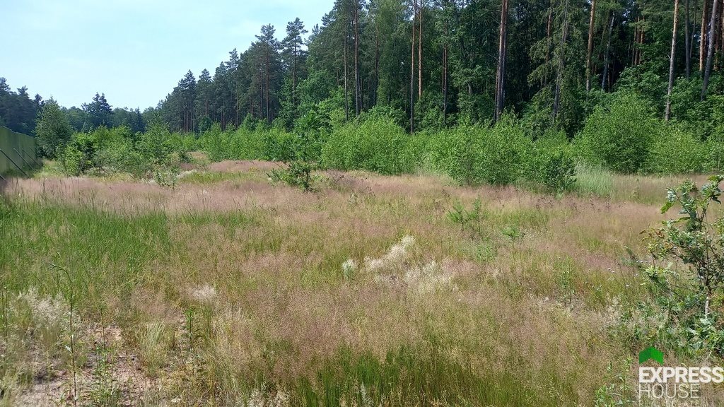 Działka budowlana na sprzedaż Niewodnica Korycka  826m2 Foto 1