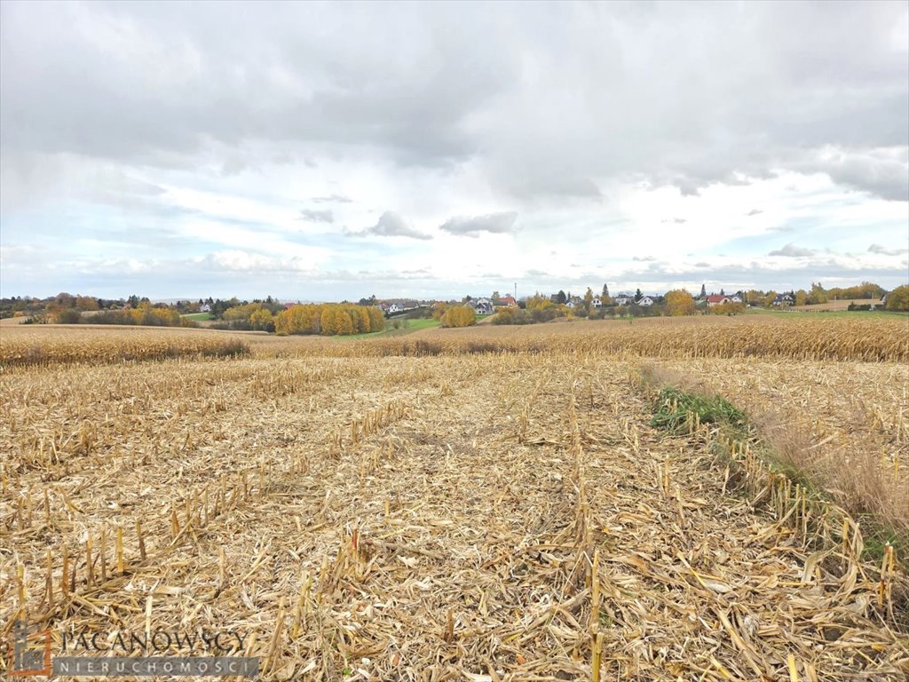 Działka rolna na sprzedaż Owczary  8 818m2 Foto 1