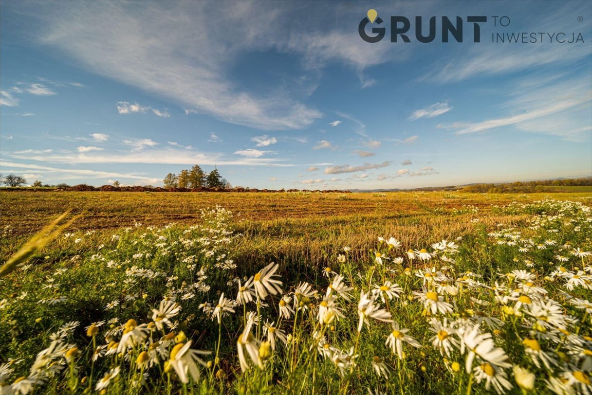 Działka budowlana na sprzedaż Złoty Stok  574m2 Foto 12