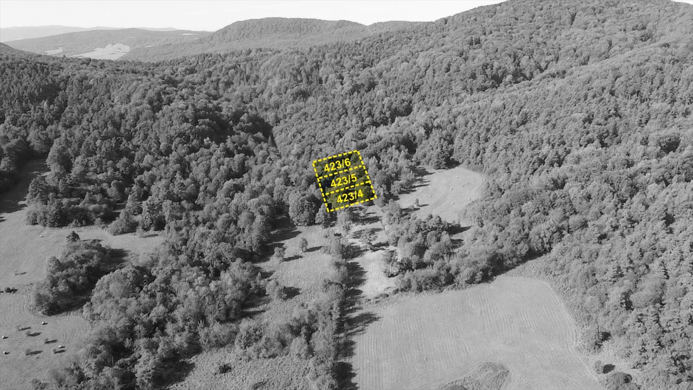 Działka w otulinie lasu w Wysowej-Zdrój – prywatność i piękno Uście Gorlickie, Wysowa-Zdrój  1 000m2 Foto 1