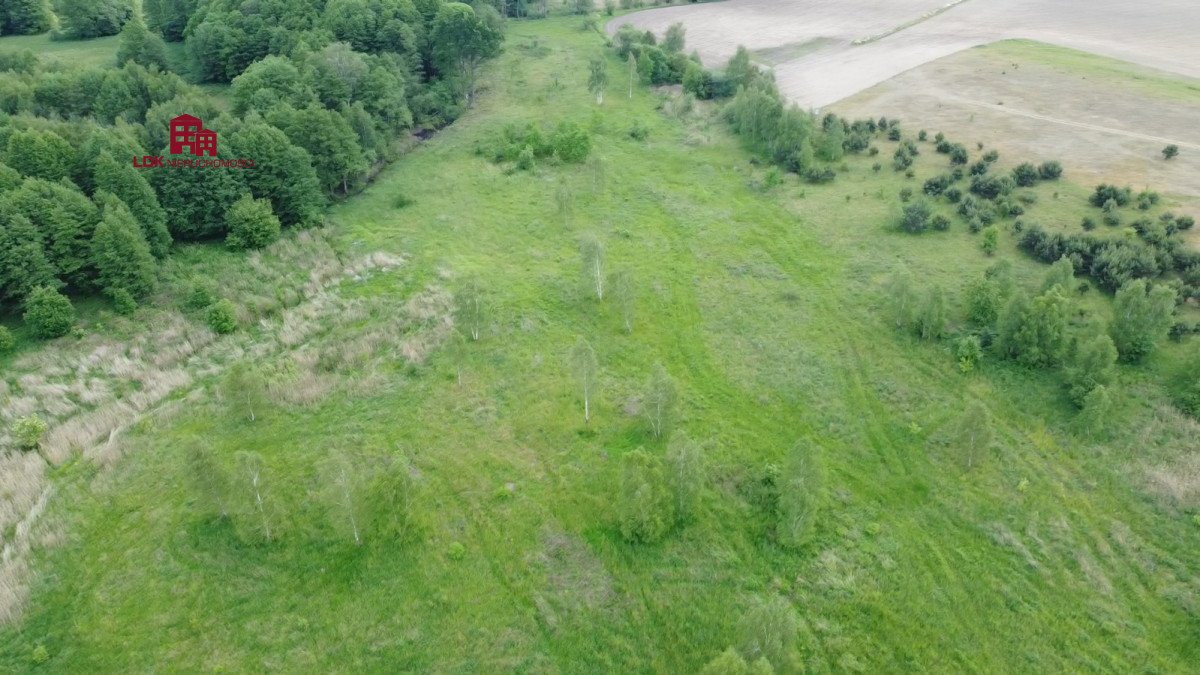 Działka budowlana na sprzedaż Zielona Góra  35 300m2 Foto 3