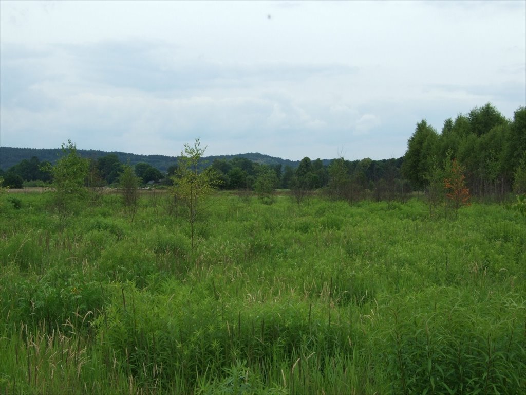 Działka budowlana na sprzedaż Przeginia Narodowa, Przeginia Narodowa  2 700m2 Foto 12