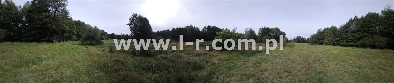 Działka leśna na sprzedaż Sumina, Dworcowa  6 820m2 Foto 6