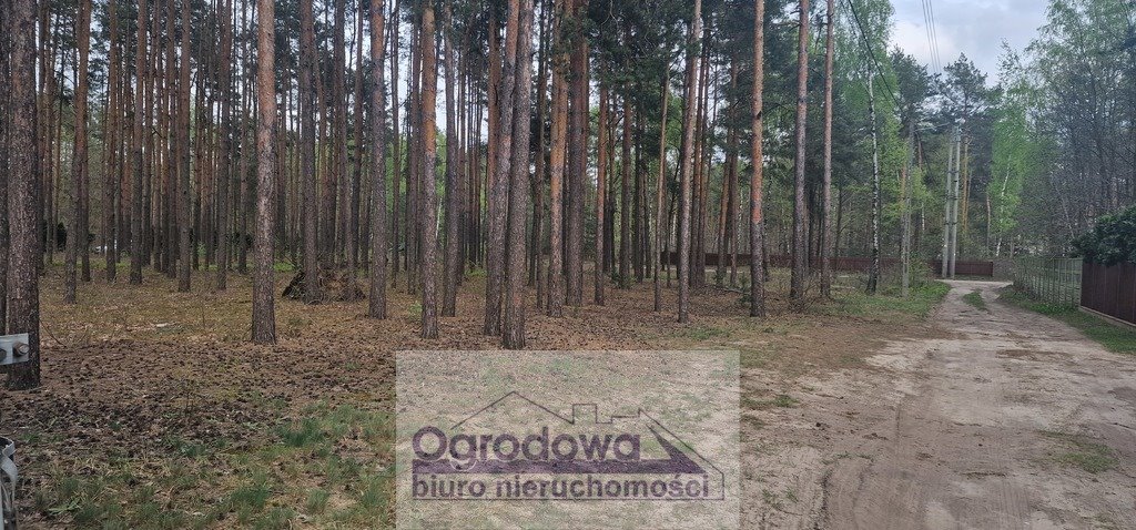 Działka budowlana na sprzedaż Zagościniec  4 059m2 Foto 5