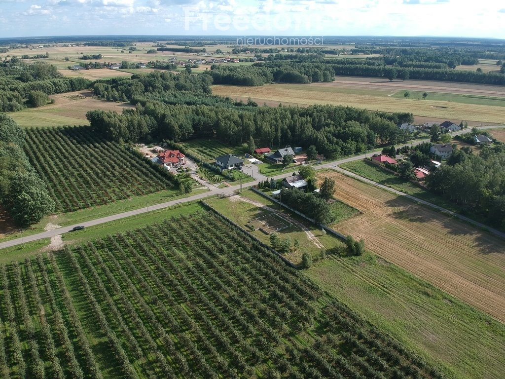 Działka inna na sprzedaż Filipinów  3 000m2 Foto 15