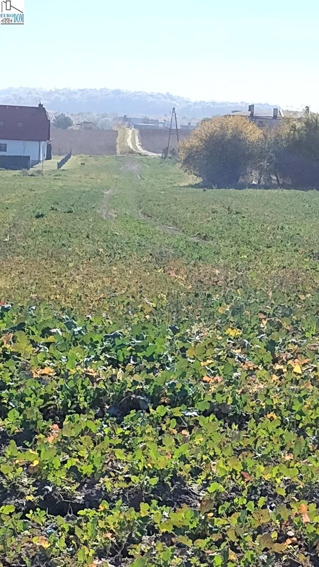 Działka budowlana na sprzedaż Świerklaniec  5 274m2 Foto 7