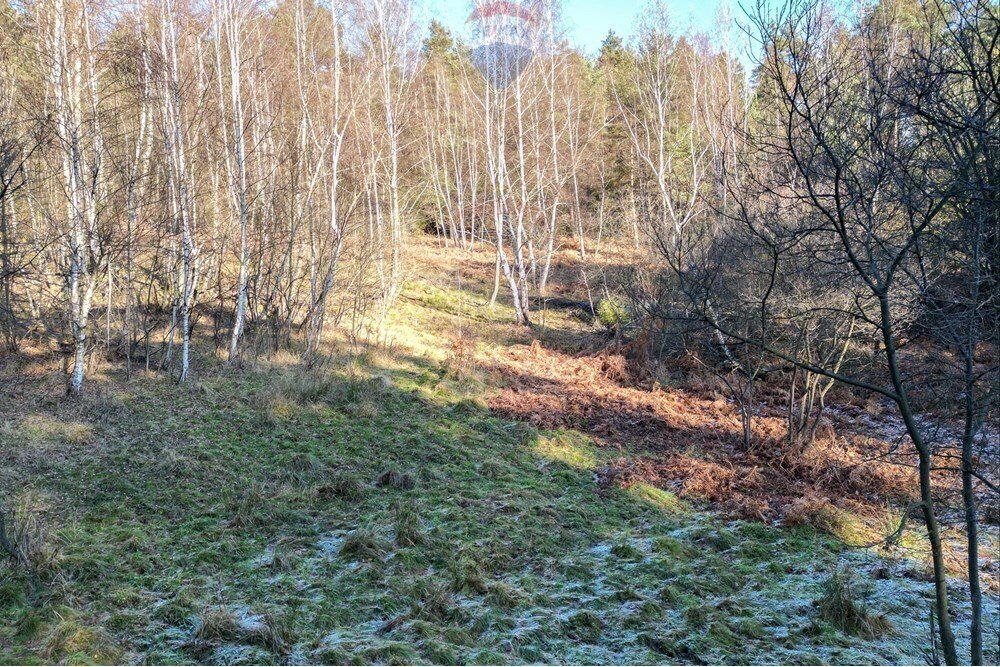 Działka leśna na sprzedaż Tresna  22 196m2 Foto 9