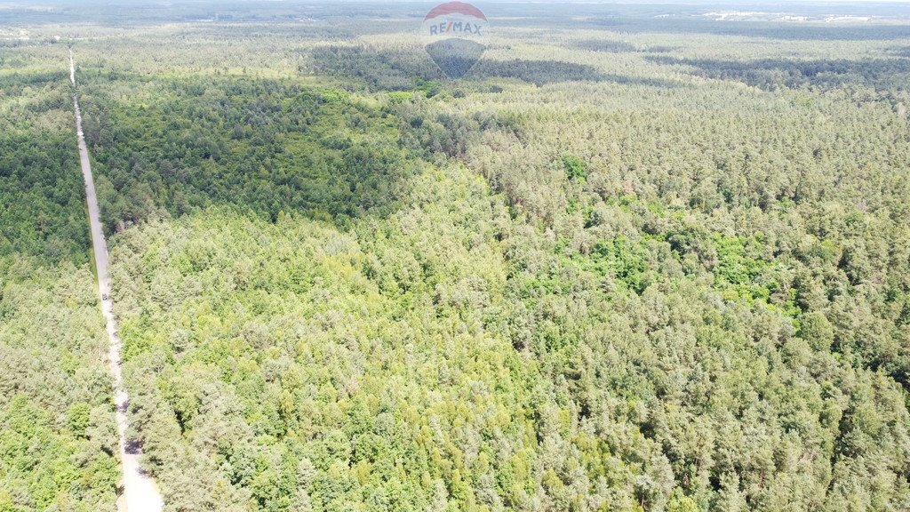 Działka budowlana na sprzedaż Ostrowiec Świętokrzyski, Las Rzeczki  891m2 Foto 3