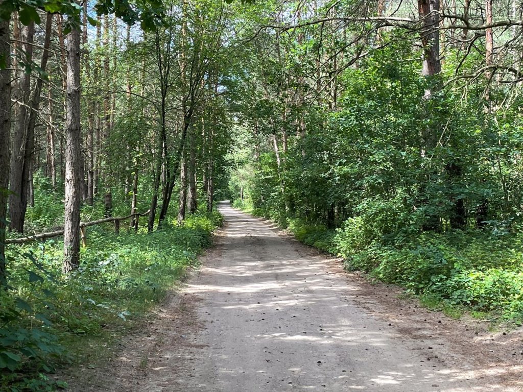 Działka rekreacyjna na sprzedaż Brańszczyk, Brańszczyk-Nakieł, Spokojna  1 144m2 Foto 11