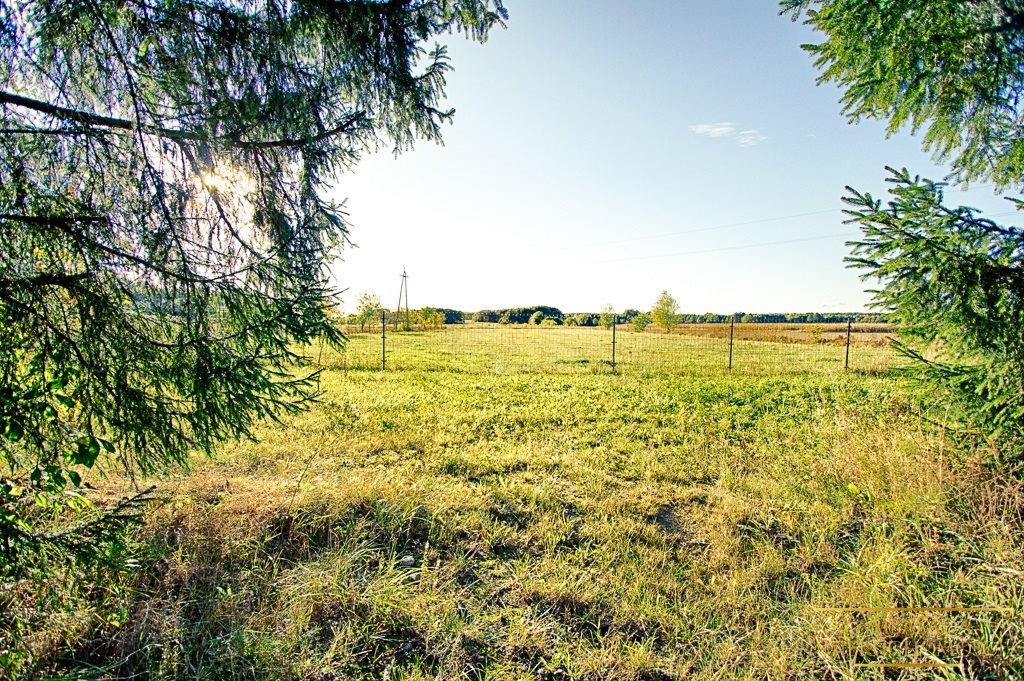 Dom na sprzedaż Pawły  100m2 Foto 12