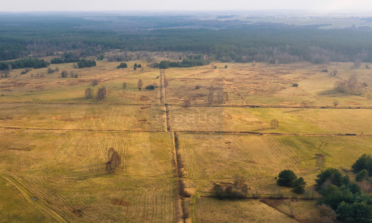 Działka rolna na sprzedaż Skrzydlów, Łąkowa  10 130m2 Foto 12