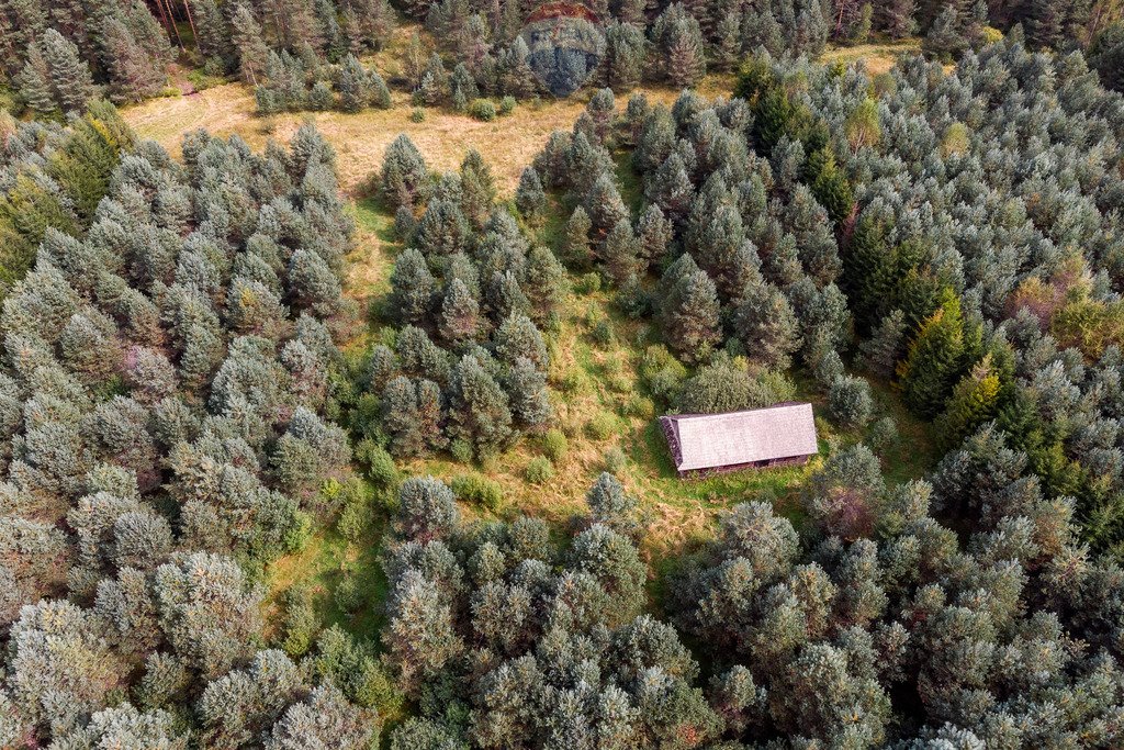 Działka rolna na sprzedaż Jabłonka, Leśna  20 000m2 Foto 2